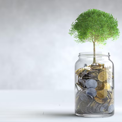 Growth Loan Growth Loan